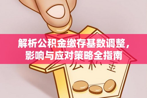 呼玛解析公积金缴存基数调整，影响与应对策略全指南