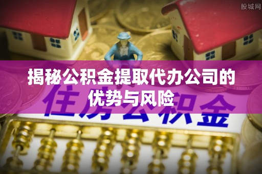 呼玛揭秘公积金提取代办公司的优势与风险