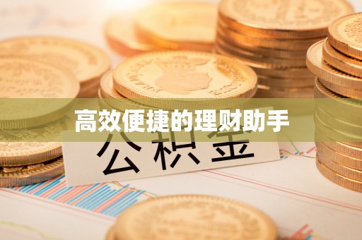 呼玛高效便捷的理财助手