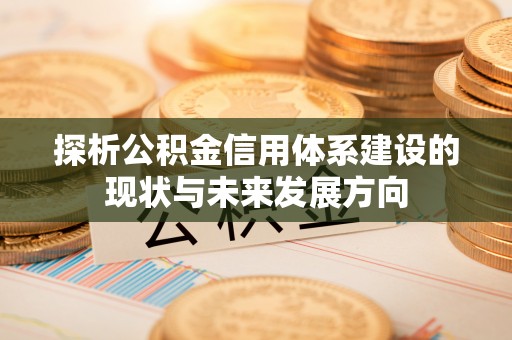 呼玛探析公积金信用体系建设的现状与未来发展方向