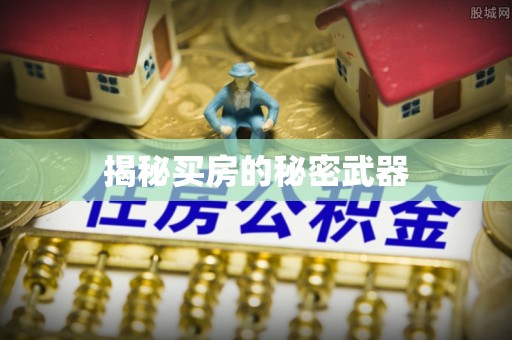 呼玛揭秘买房的秘密武器