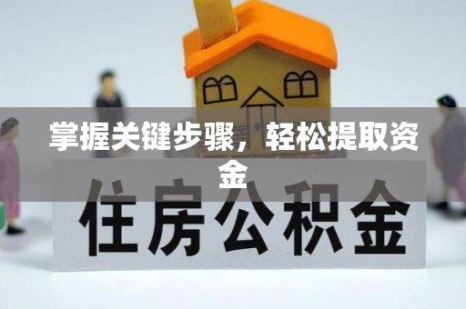 呼玛掌握关键步骤，轻松提取资金