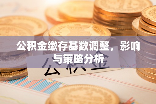 呼玛公积金缴存基数调整，影响与策略分析