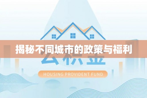 呼玛揭秘不同城市的政策与福利