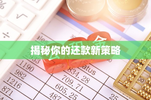呼玛揭秘你的还款新策略