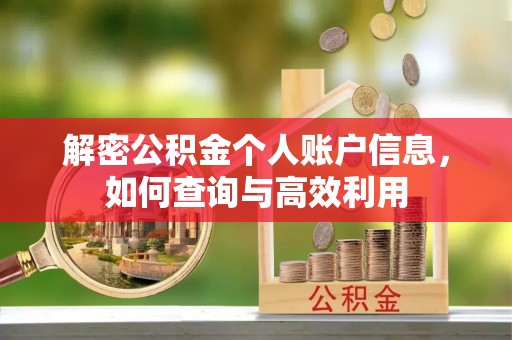 呼玛解密公积金个人账户信息，如何查询与高效利用