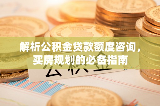 呼玛解析公积金贷款额度咨询，买房规划的必备指南