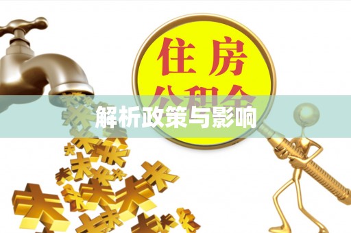 呼玛解析政策与影响