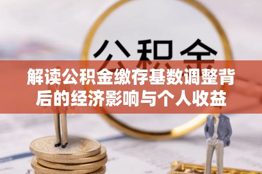 呼玛解读公积金缴存基数调整背后的经济影响与个人收益