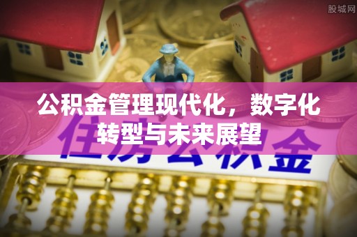 呼玛公积金管理现代化，数字化转型与未来展望