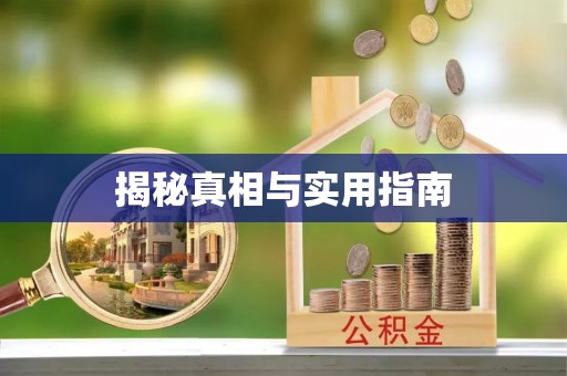 呼玛揭秘真相与实用指南