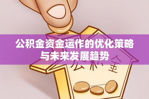 呼玛公积金资金运作的优化策略与未来发展趋势