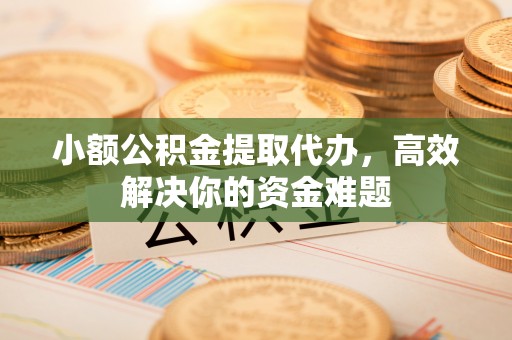 呼玛小额公积金提取代办，高效解决你的资金难题