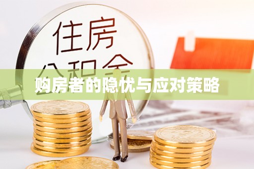 呼玛购房者的隐忧与应对策略