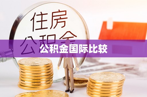 呼玛公积金国际比较