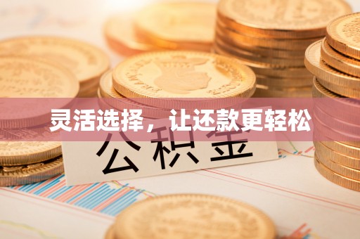呼玛灵活选择，让还款更轻松