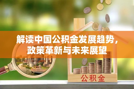 呼玛解读中国公积金发展趋势，政策革新与未来展望