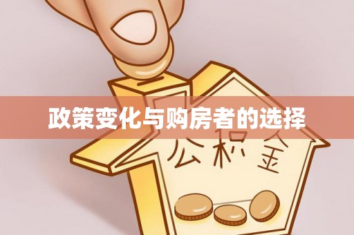 呼玛政策变化与购房者的选择