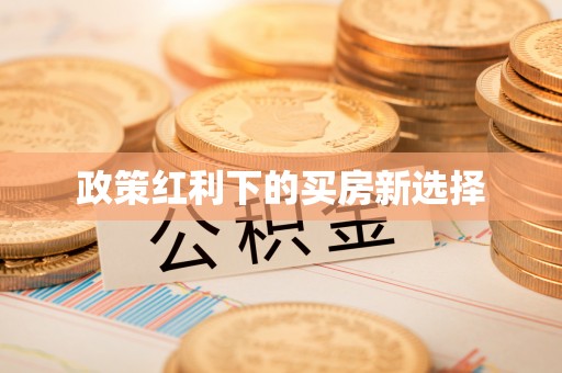呼玛政策红利下的买房新选择
