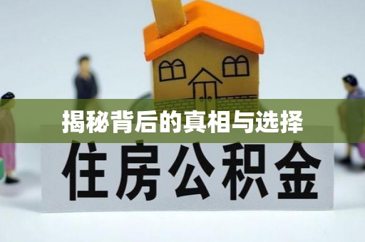 呼玛揭秘背后的真相与选择