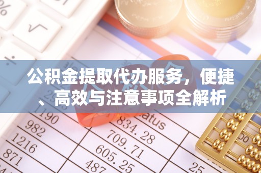 呼玛公积金提取代办服务，便捷、高效与注意事项全解析