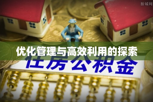 呼玛优化管理与高效利用的探索