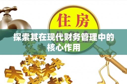 呼玛探索其在现代财务管理中的核心作用