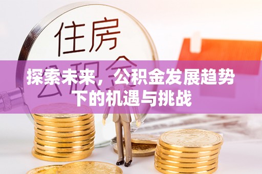 呼玛探索未来，公积金发展趋势下的机遇与挑战