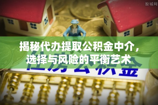 呼玛揭秘代办提取公积金中介，选择与风险的平衡艺术
