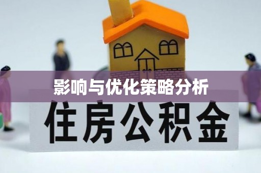 呼玛影响与优化策略分析