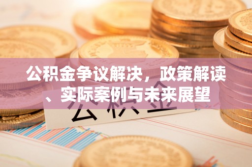 呼玛公积金争议解决，政策解读、实际案例与未来展望