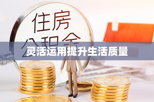 呼玛灵活运用提升生活质量