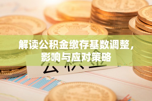 呼玛解读公积金缴存基数调整，影响与应对策略