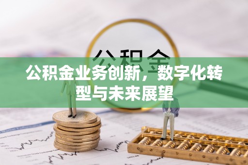 呼玛公积金业务创新，数字化转型与未来展望