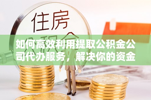呼玛如何高效利用提取公积金公司代办服务，解决你的资金难题