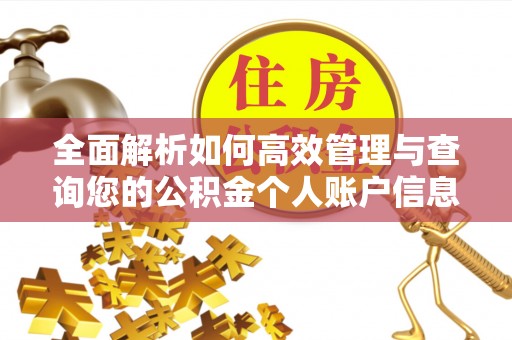 呼玛全面解析如何高效管理与查询您的公积金个人账户信息
