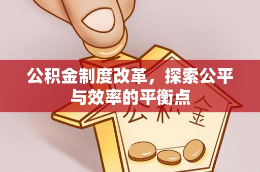 呼玛公积金制度改革，探索公平与效率的平衡点