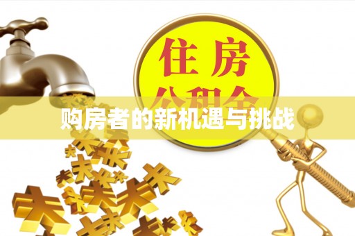 呼玛购房者的新机遇与挑战