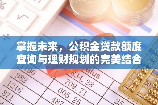 呼玛掌握未来，公积金贷款额度查询与理财规划的完美结合