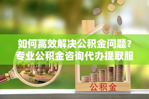 呼玛如何高效解决公积金问题？专业公积金咨询代办提取服务来帮你