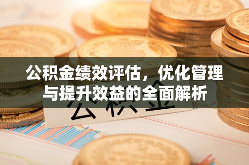 呼玛公积金绩效评估，优化管理与提升效益的全面解析