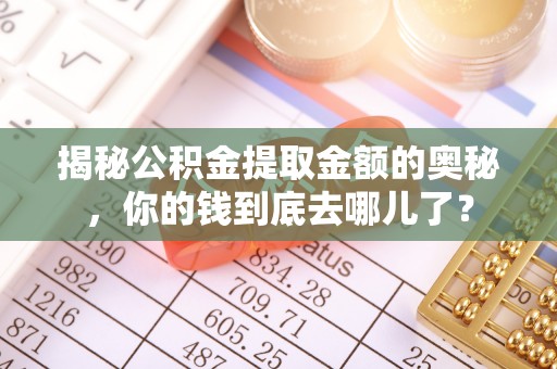 呼玛揭秘公积金提取金额的奥秘，你的钱到底去哪儿了？