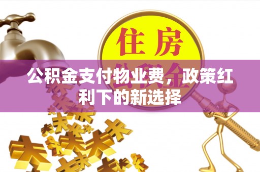 呼玛公积金支付物业费，政策红利下的新选择