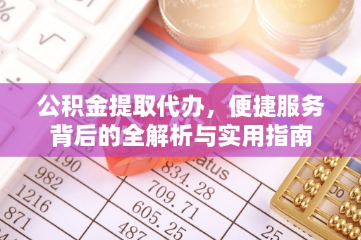 呼玛公积金提取代办，便捷服务背后的全解析与实用指南