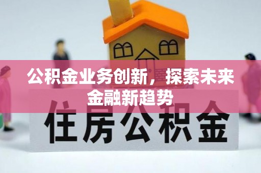 呼玛公积金业务创新，探索未来金融新趋势
