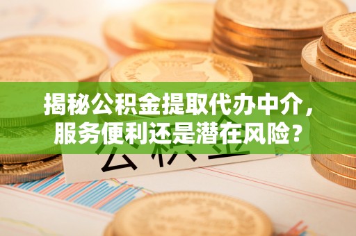 呼玛揭秘公积金提取代办中介，服务便利还是潜在风险？