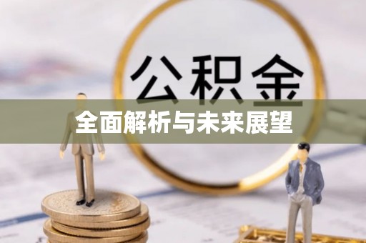呼玛全面解析与未来展望