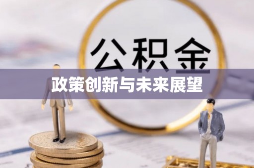 呼玛政策创新与未来展望